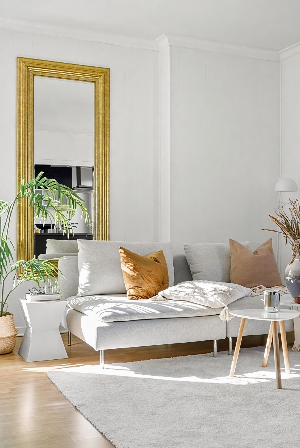 large houseplants living room