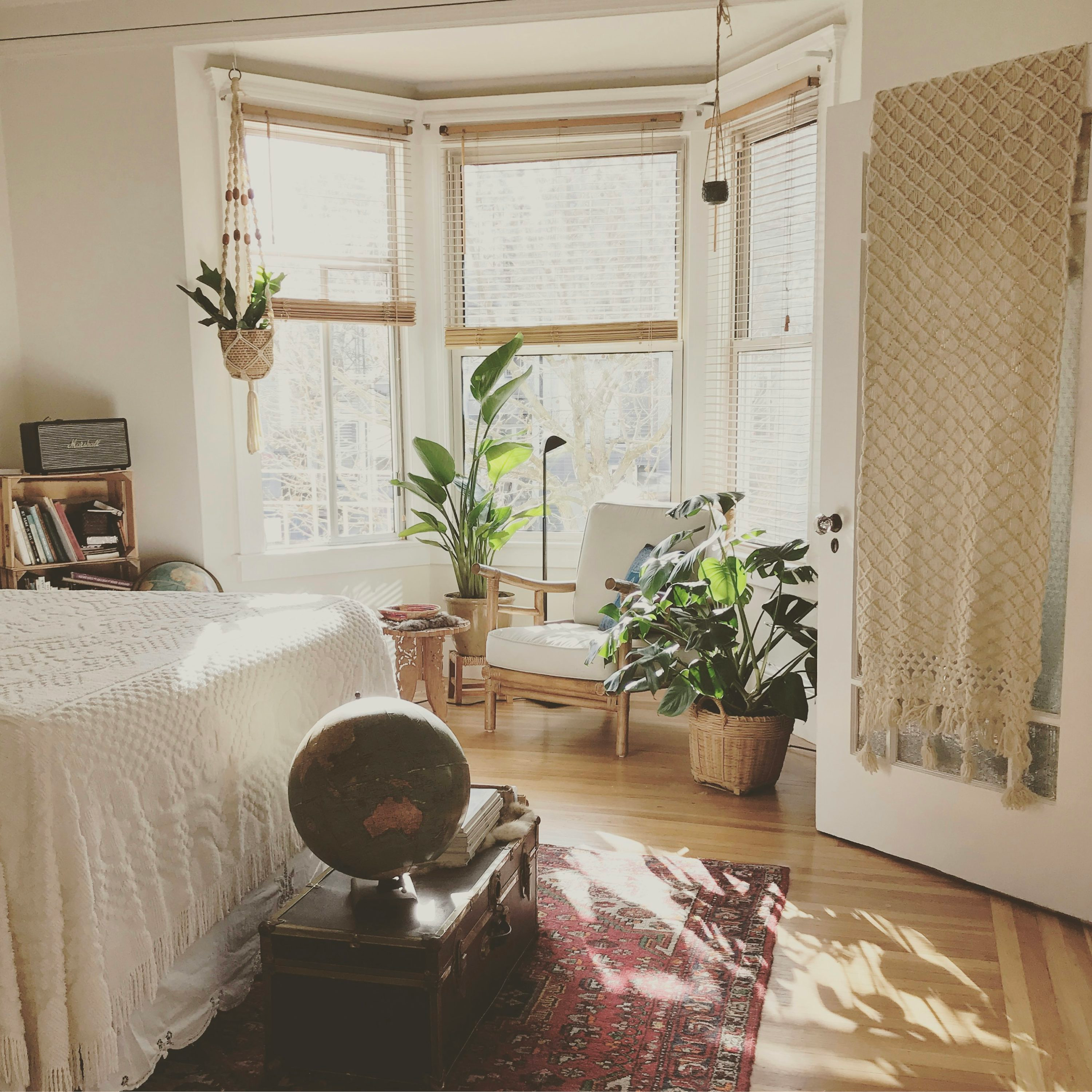 small non-toxic plants bedroom