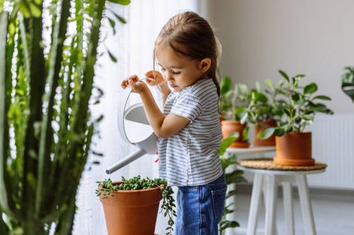 Houseplants and Little Hands: Safety Tips for a Happy Home