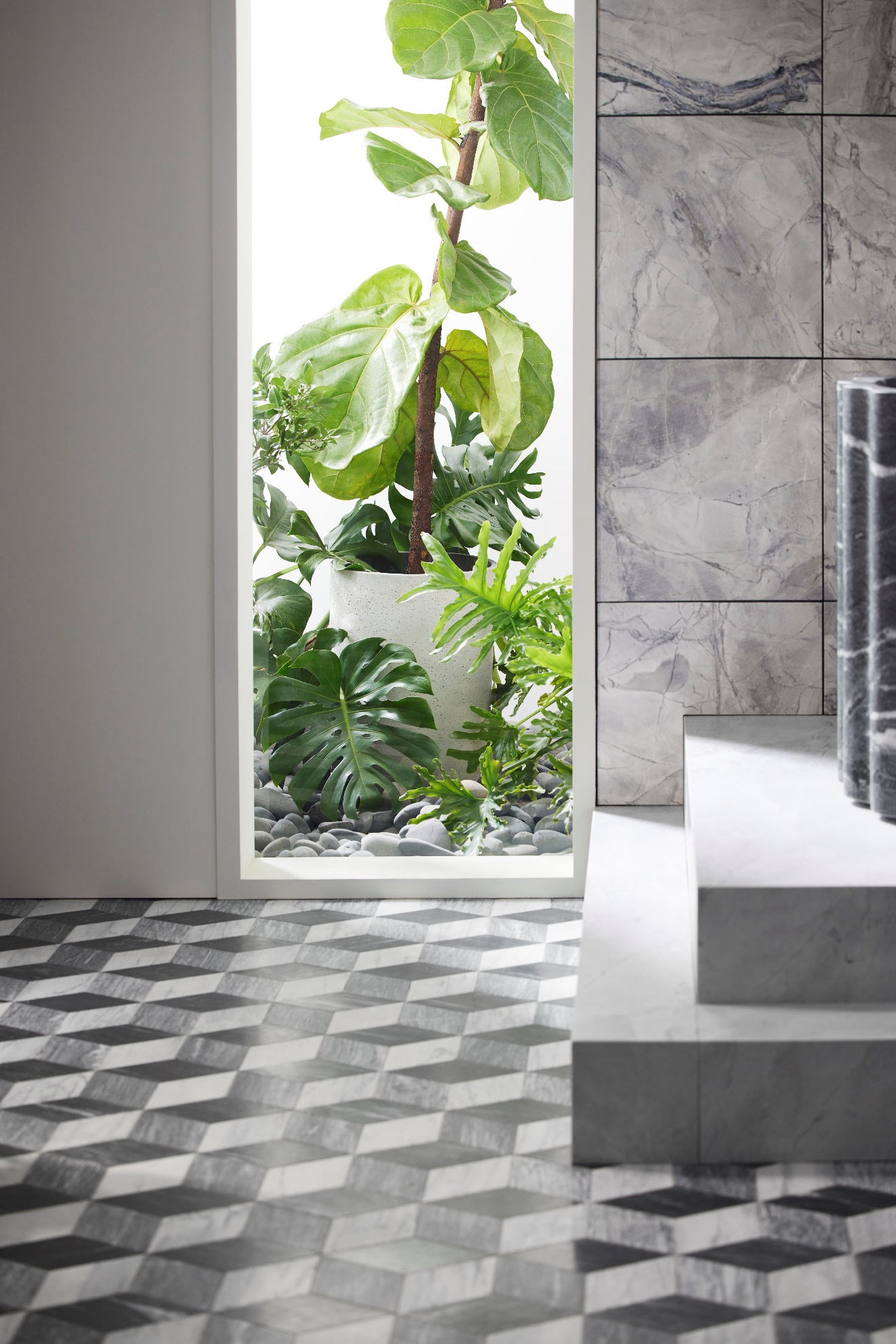 轻松度假无忧虑：照顾家中绿植的夏季旅行攻略