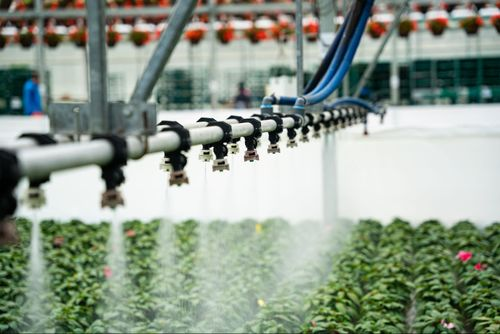 commercial plant watering device