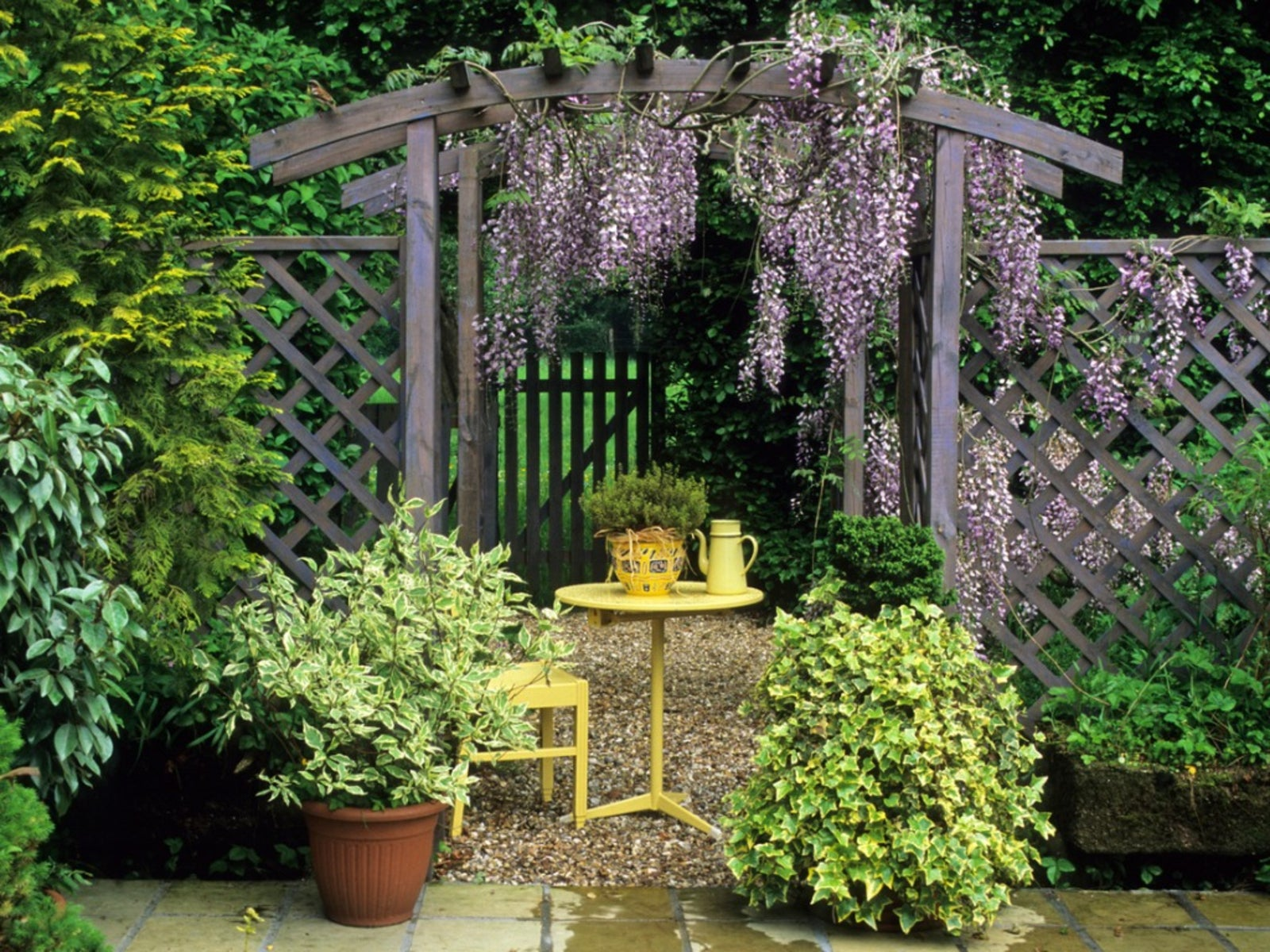 pergola with climbing vines