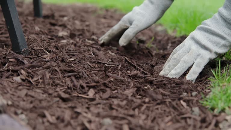 garden bed with thick mulch layer