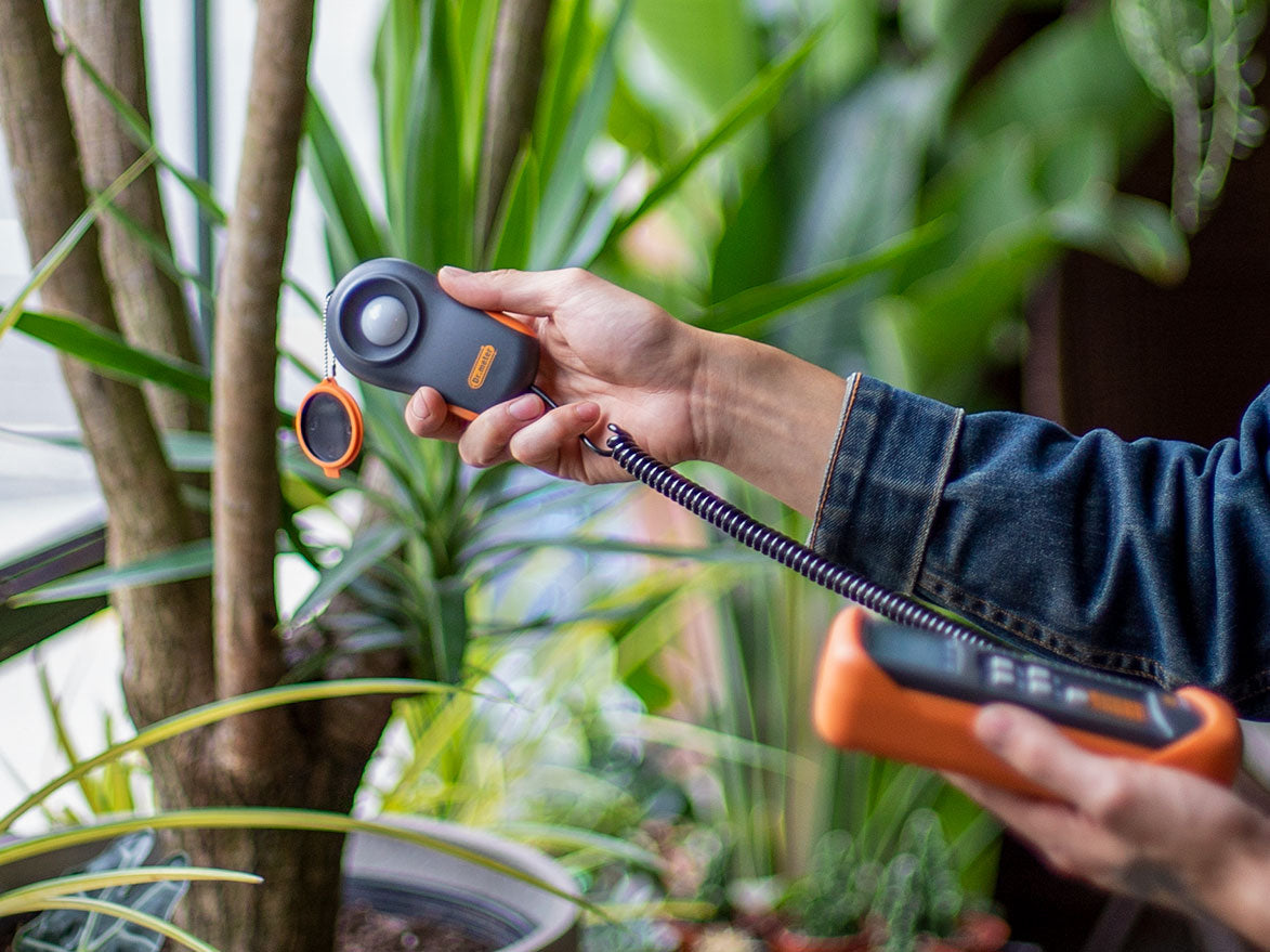 using light meter on plants