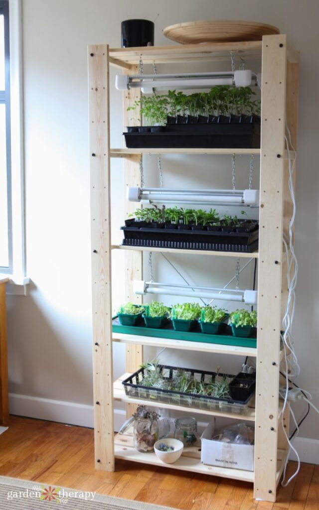 indoor grow lights setup
