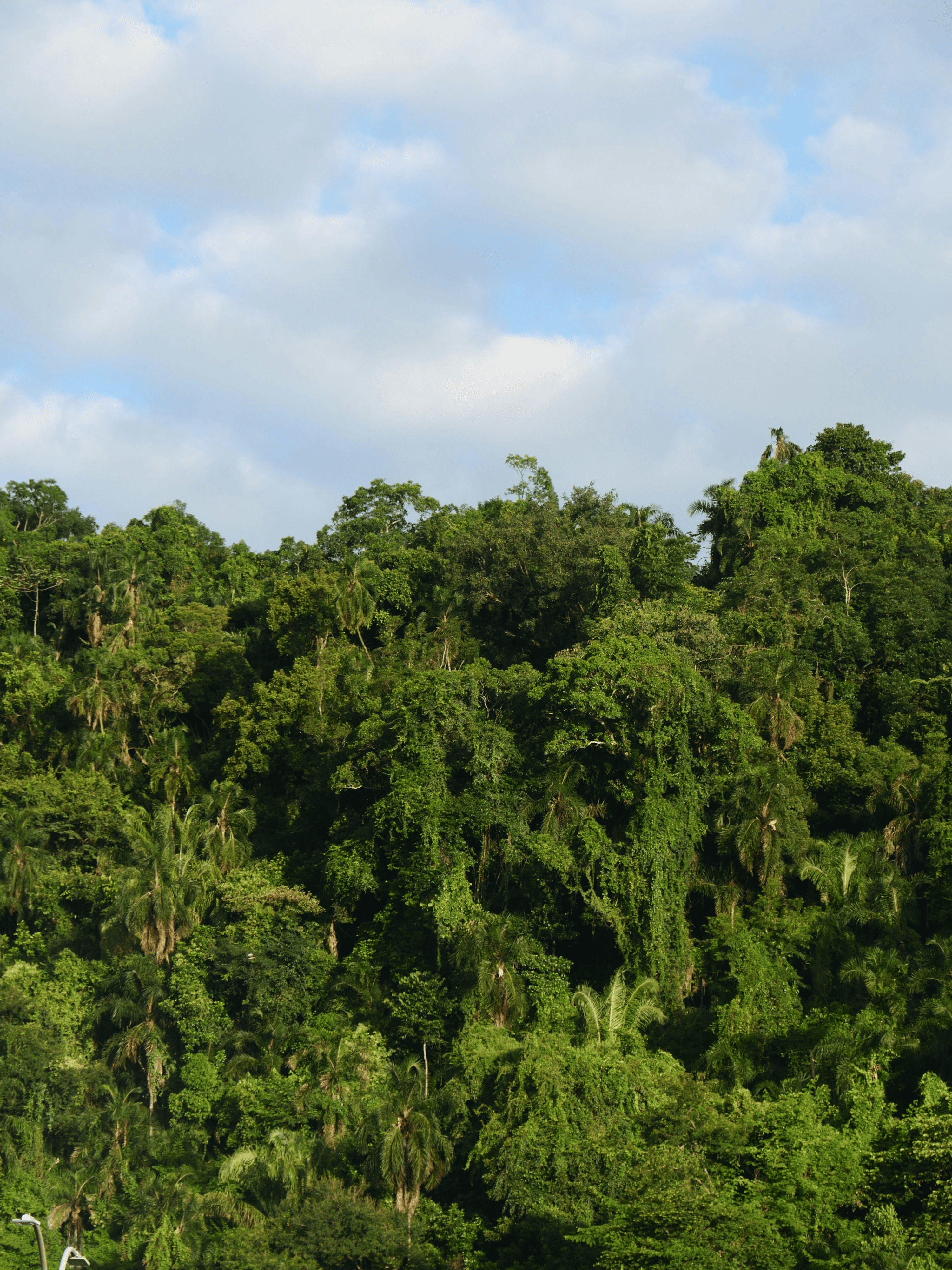 lux meter plant canopy
