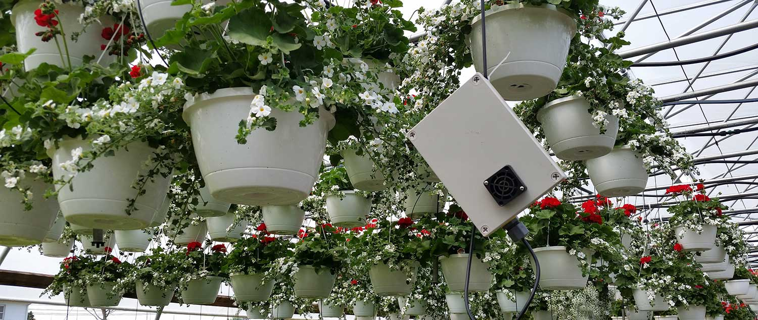 humidity sensor in greenhouse