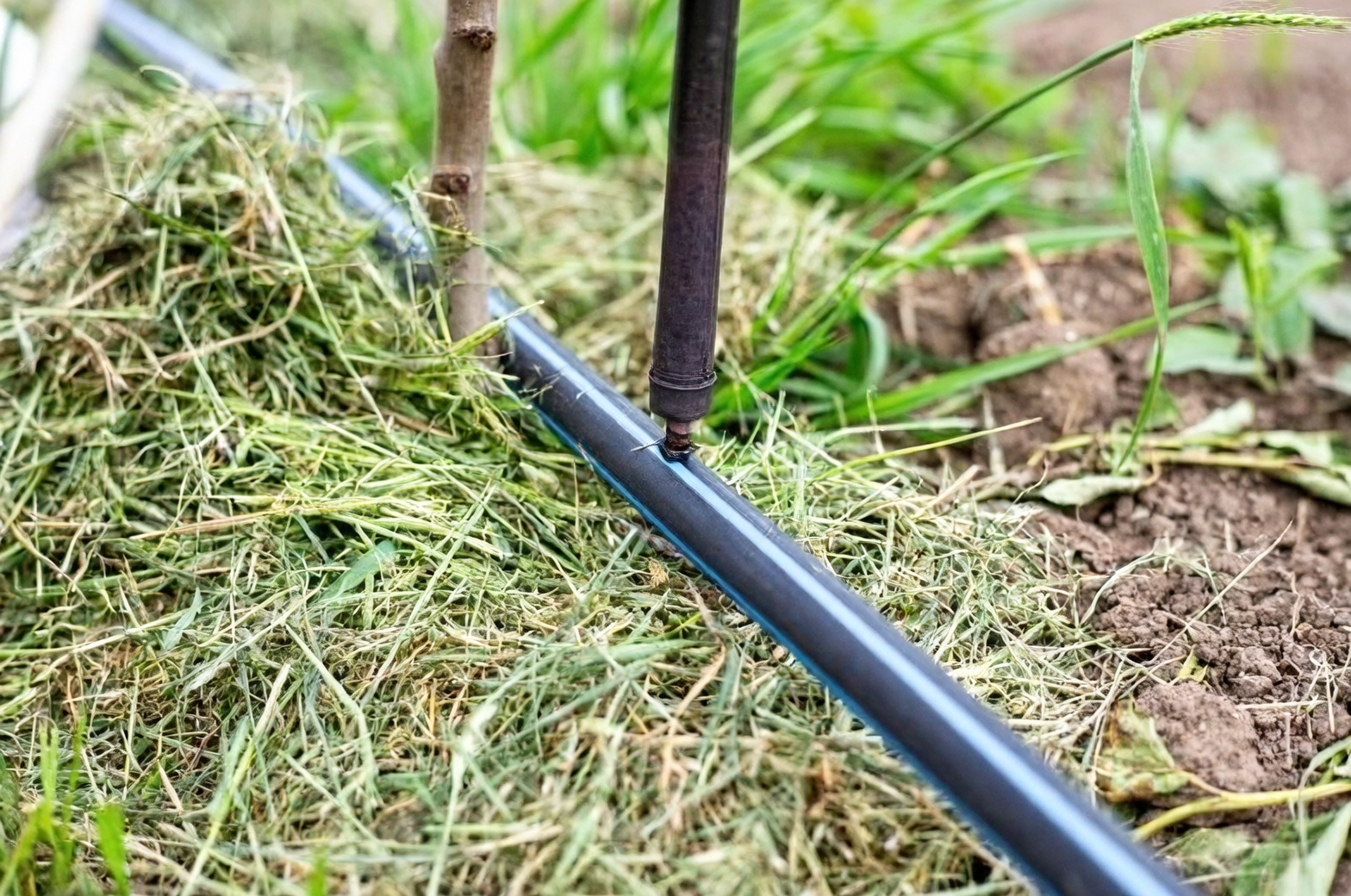 drip irrigation system in garden