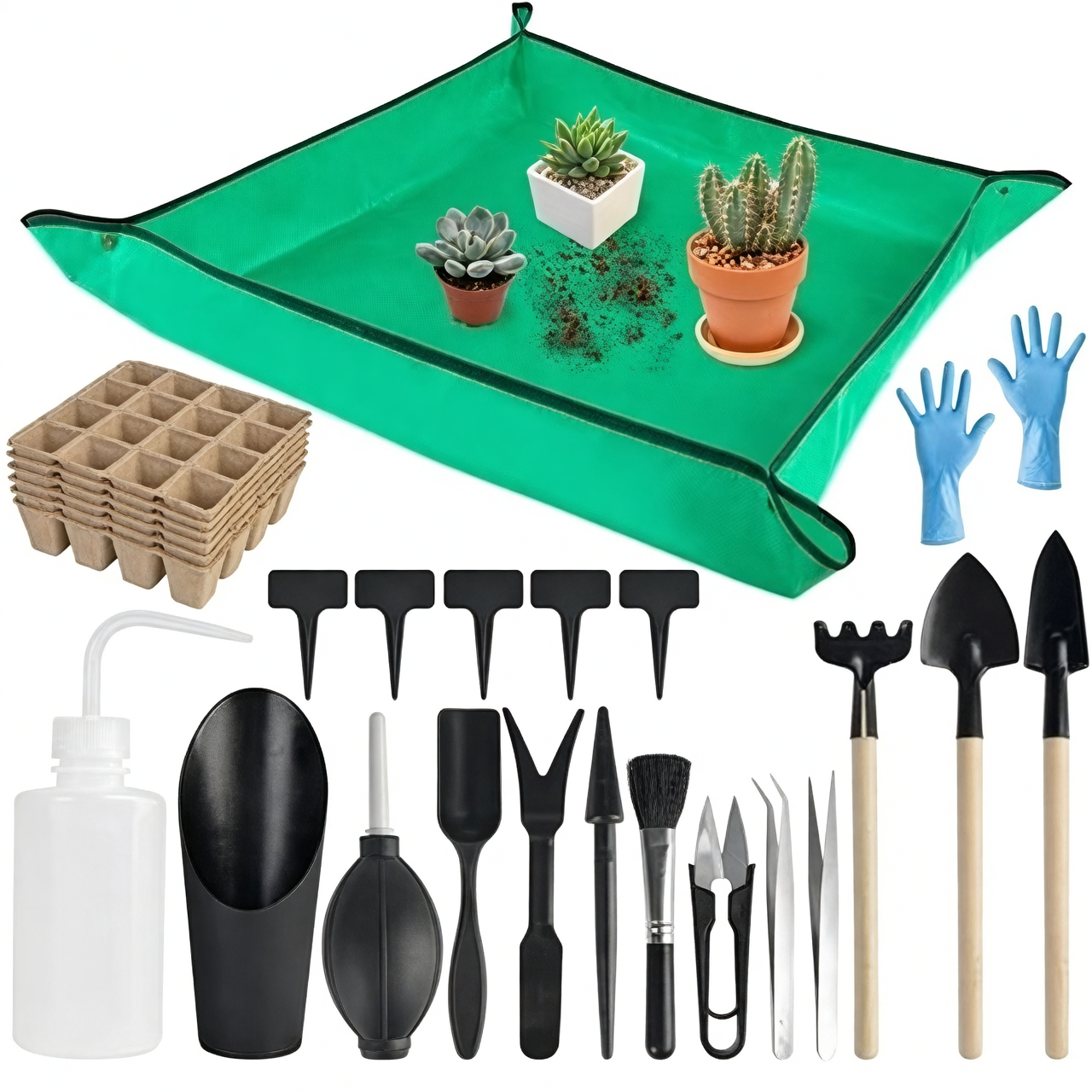 Cultivate Your Green Thumb: Plant Care Tools for Every Budget