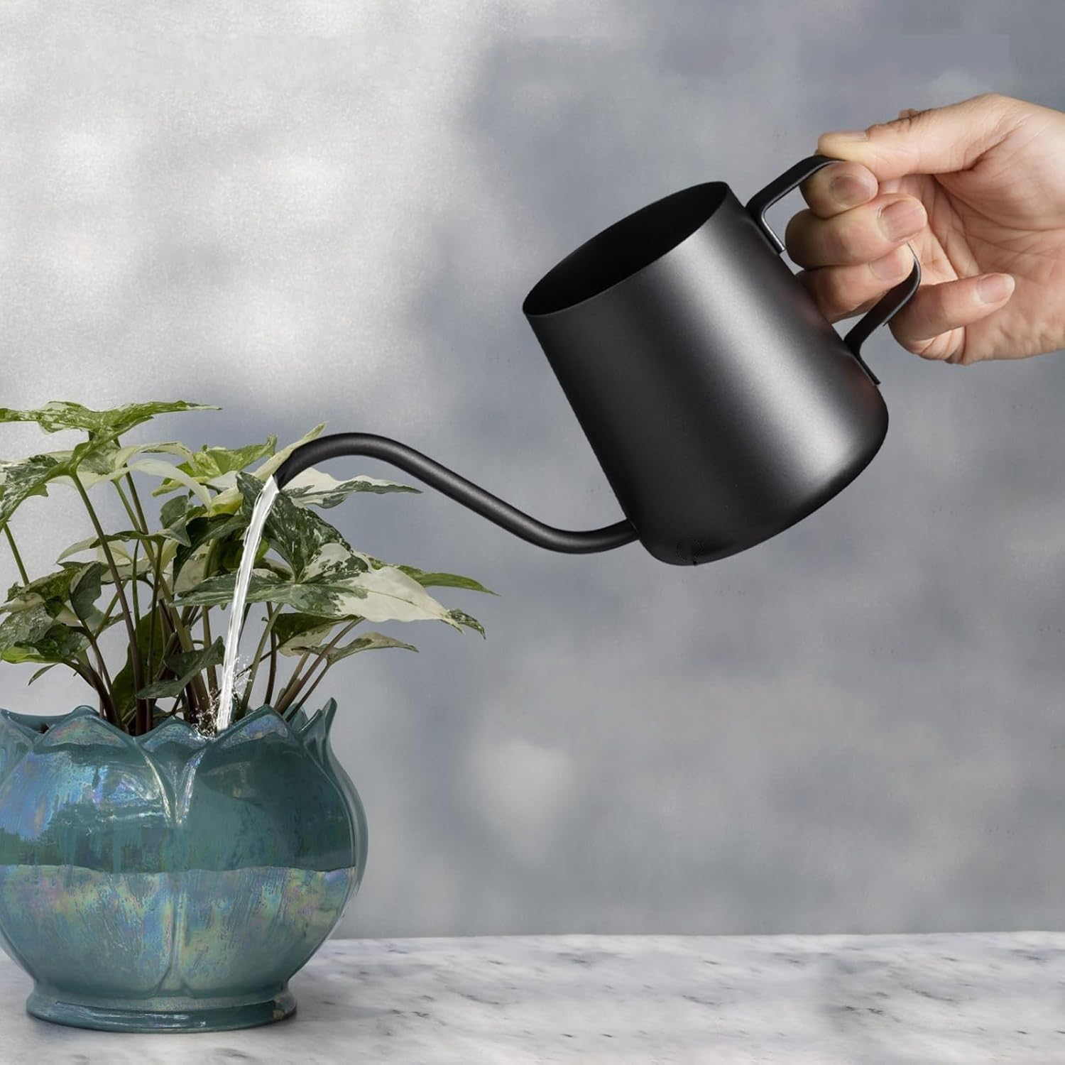 watering can indoor plants