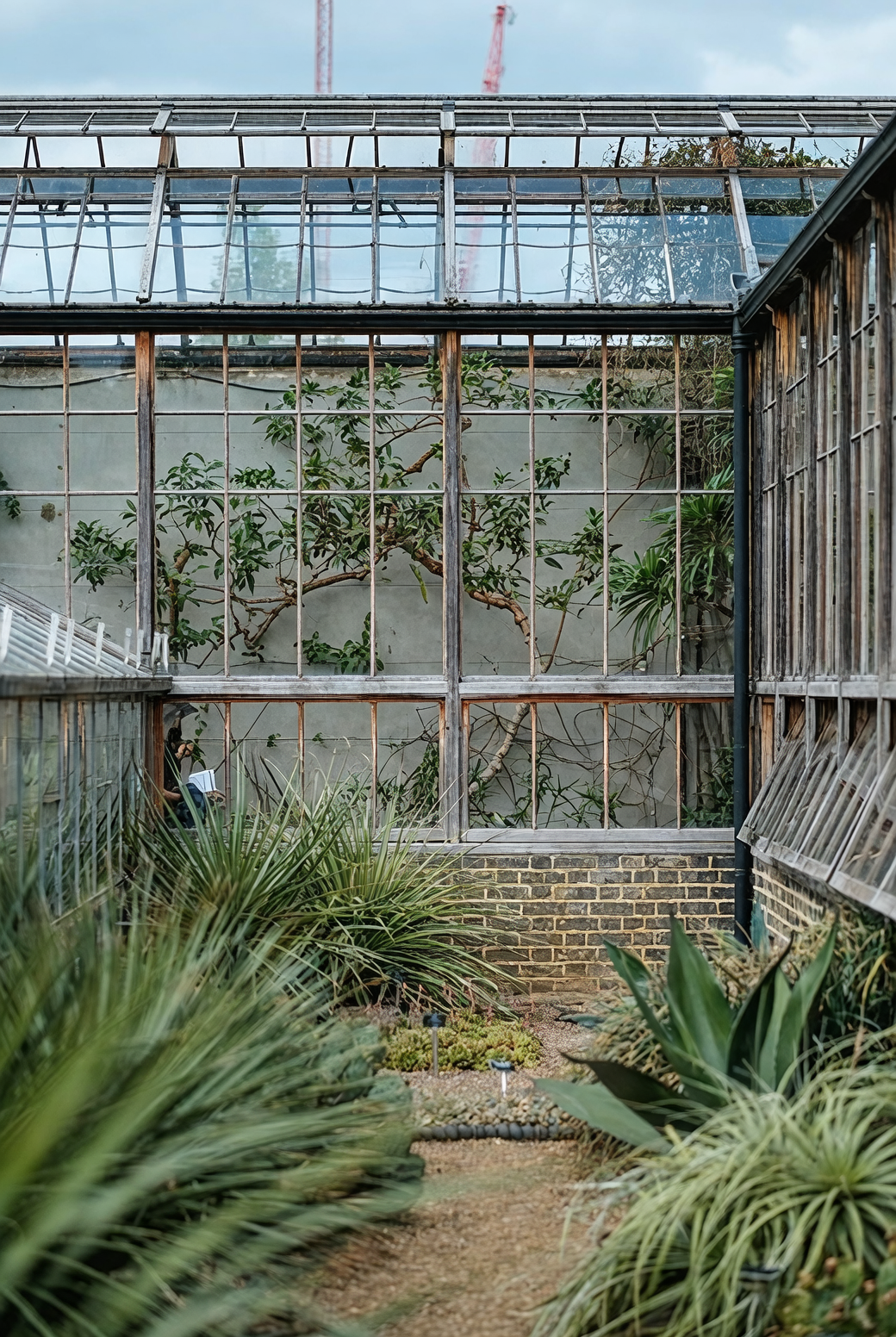 如何根据种植空间大小选择合适的设备功率