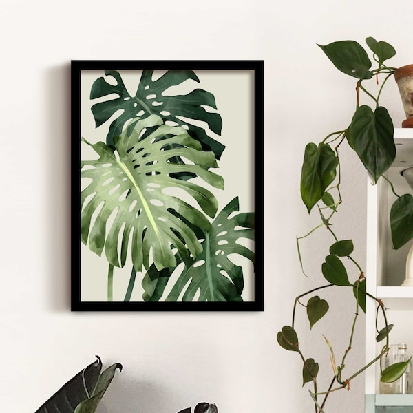 monstera in interior design