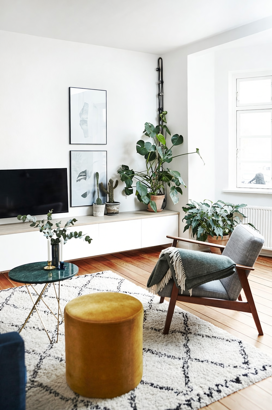 Monstera in modern living room