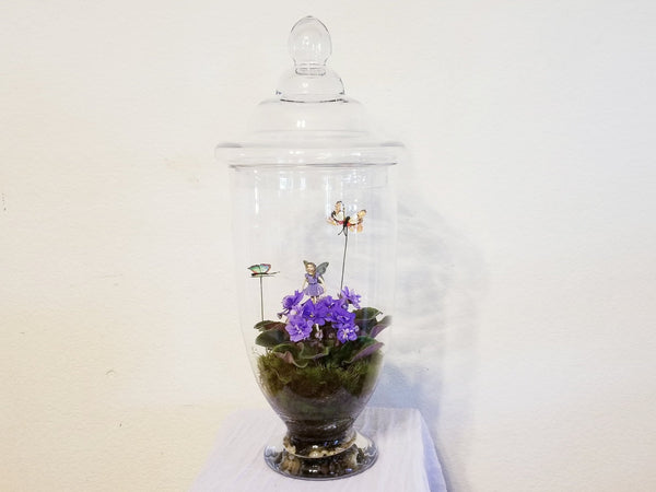 african violet terrarium glass