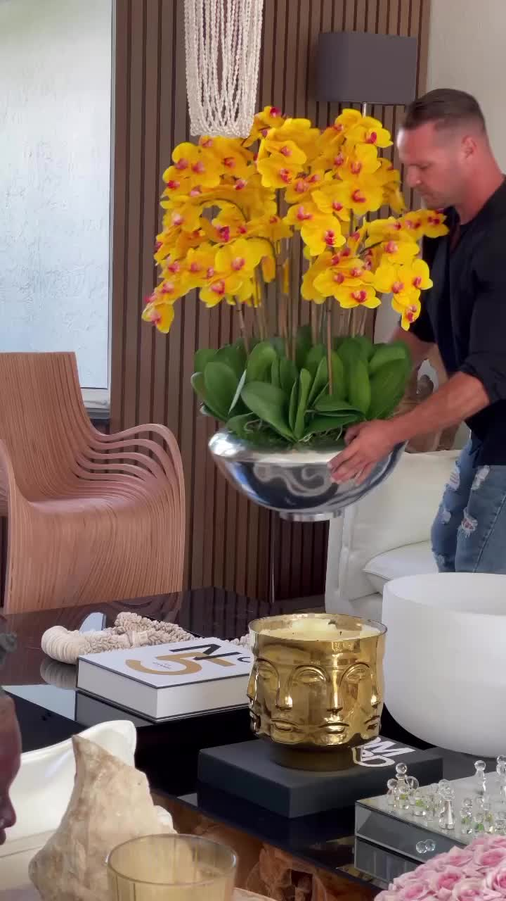 让家居绽放自然之美：用兰花增添室内设计亮点