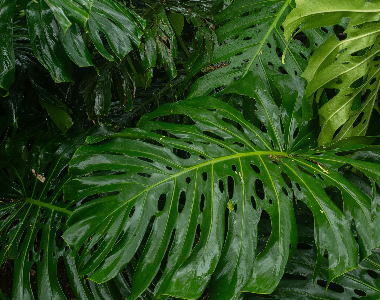Propagation Masterclass: How to Grow Your Own Money Tree