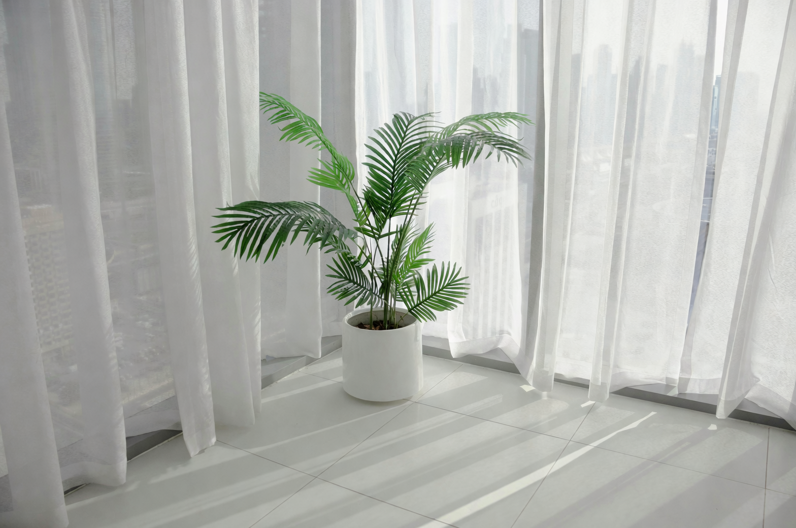 热带度假风的秘密：用散尾葵打造完美室内景观