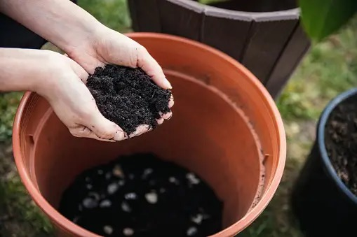 mixing compost with potting soil