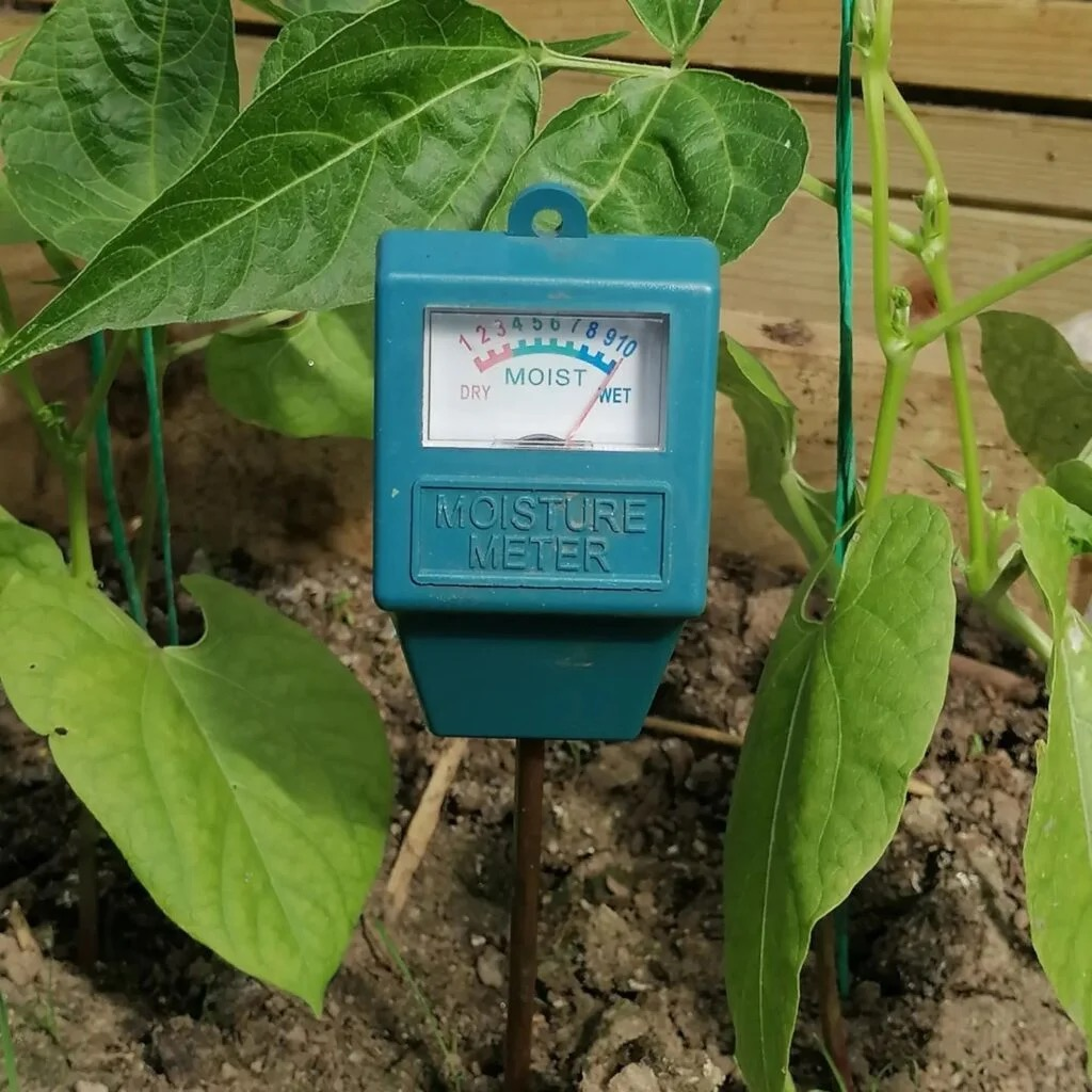 Getting Your Soil Moisture Meter Back on Track: Tips and Fixes for Accurate Readings