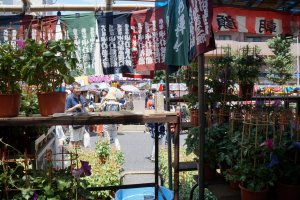 Tokyo Iriya Asagao Festival