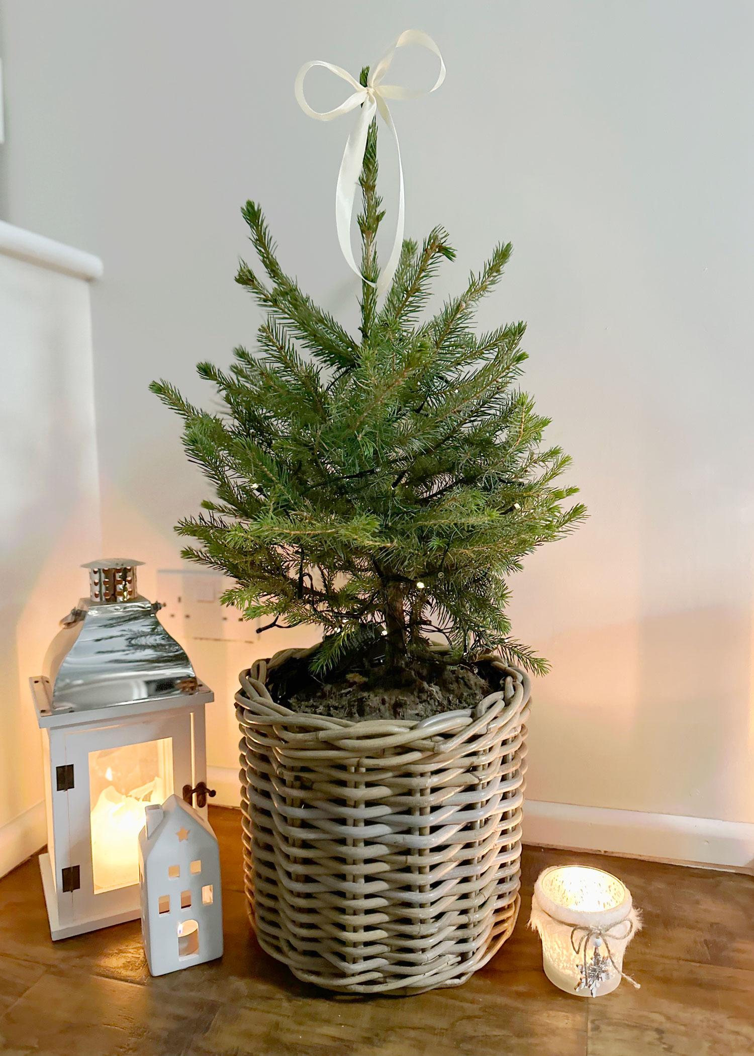 Christmas cactus wicker basket