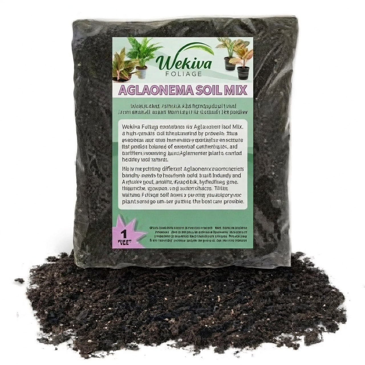 Aglaonema potting soil mix