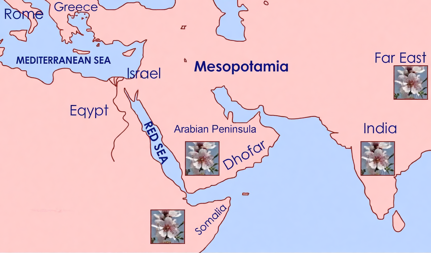 ancient aloe vera trade routes map