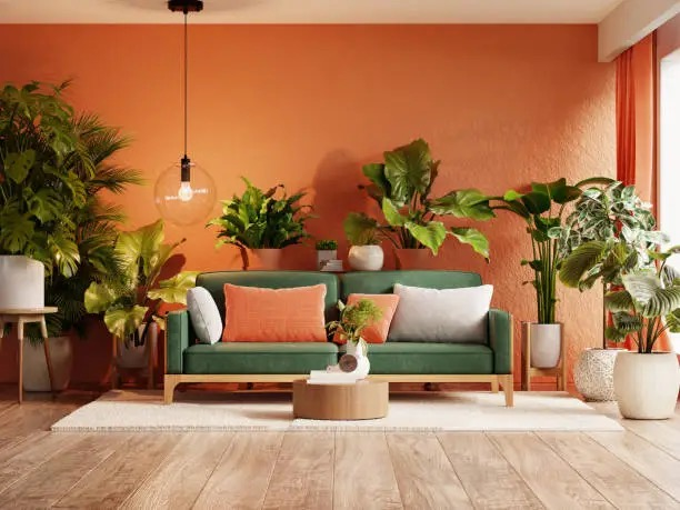 Chinese Evergreen living room decor