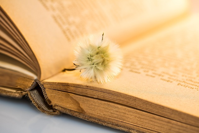 vervain bundle on old book