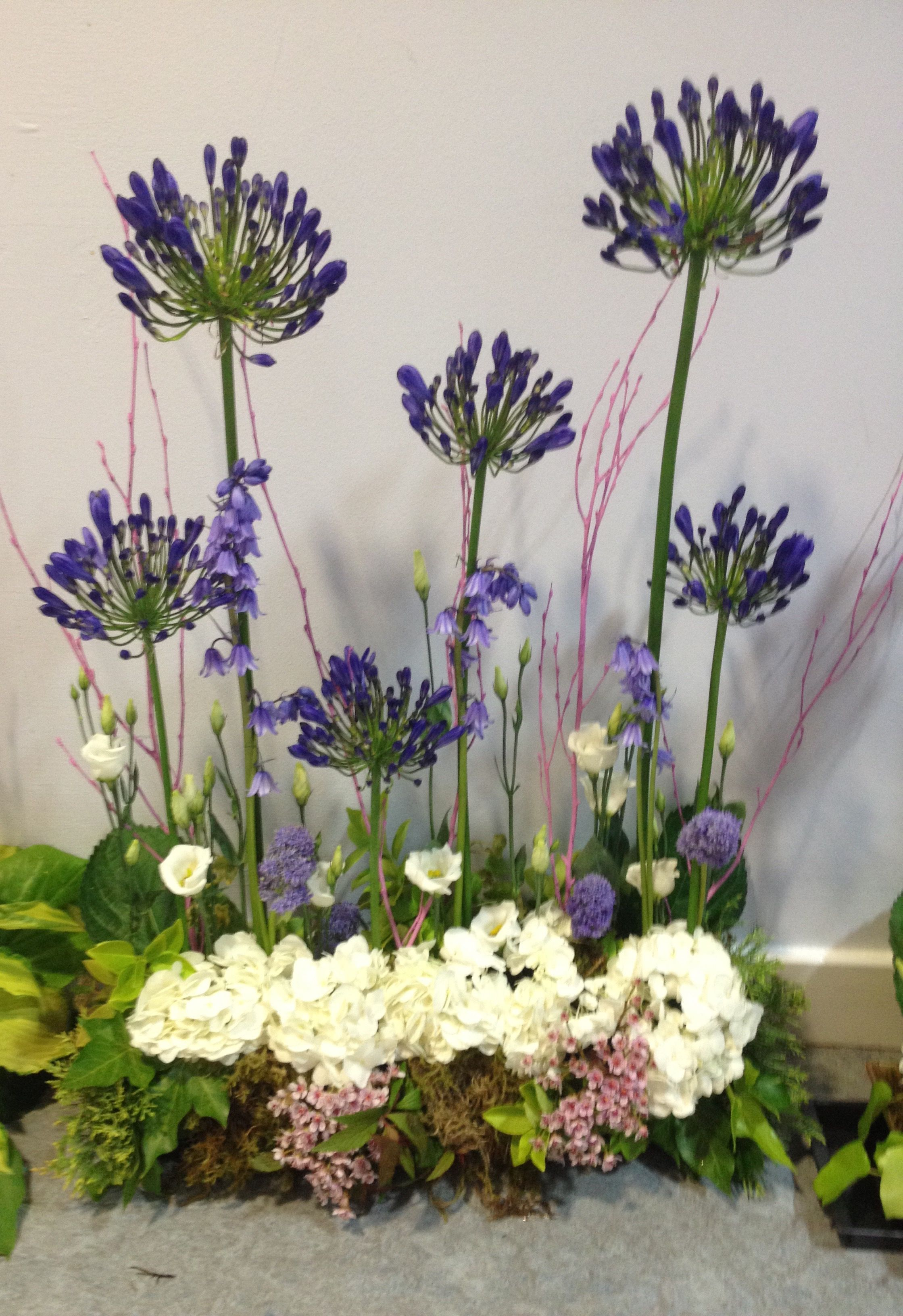 agapanthus with white roses arrangement