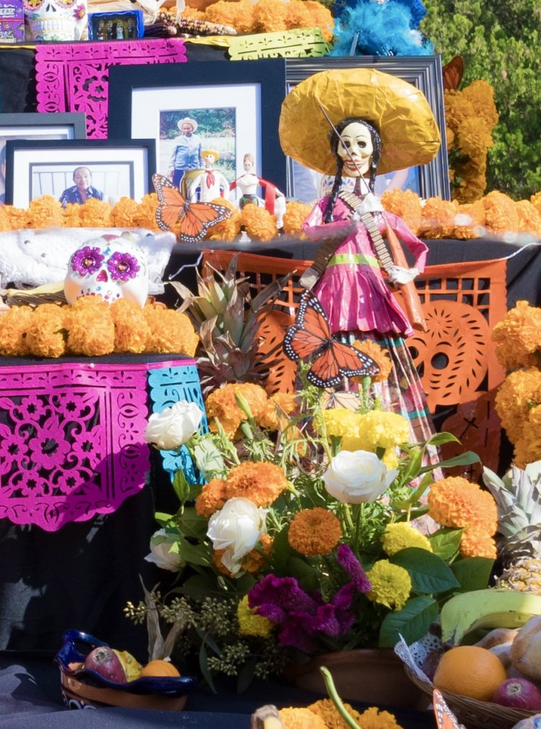 tagetes erecta dia de los muertos ofrenda