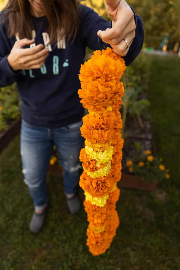 African marigold garland threading