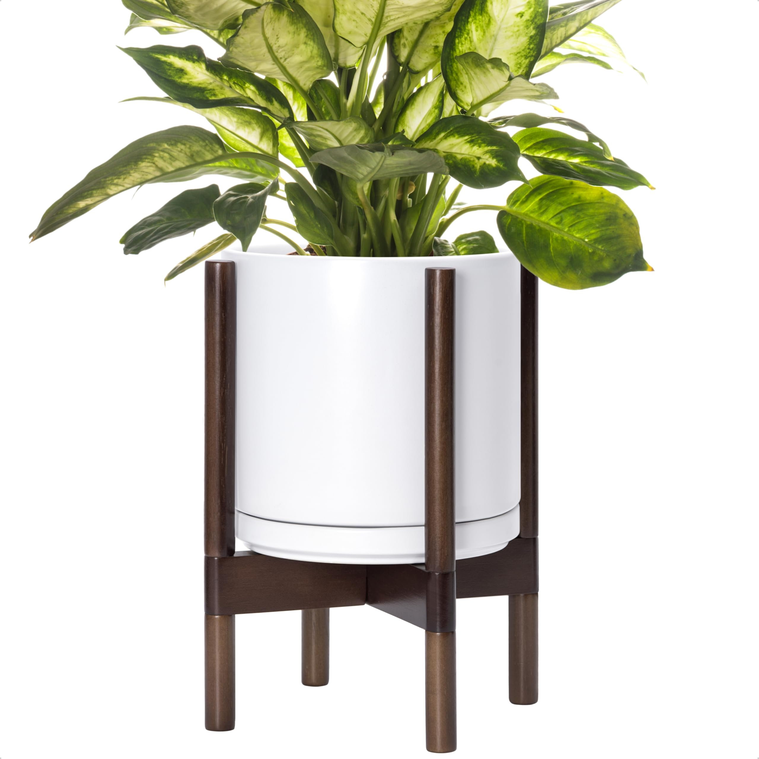 croton matte white pot walnut stand