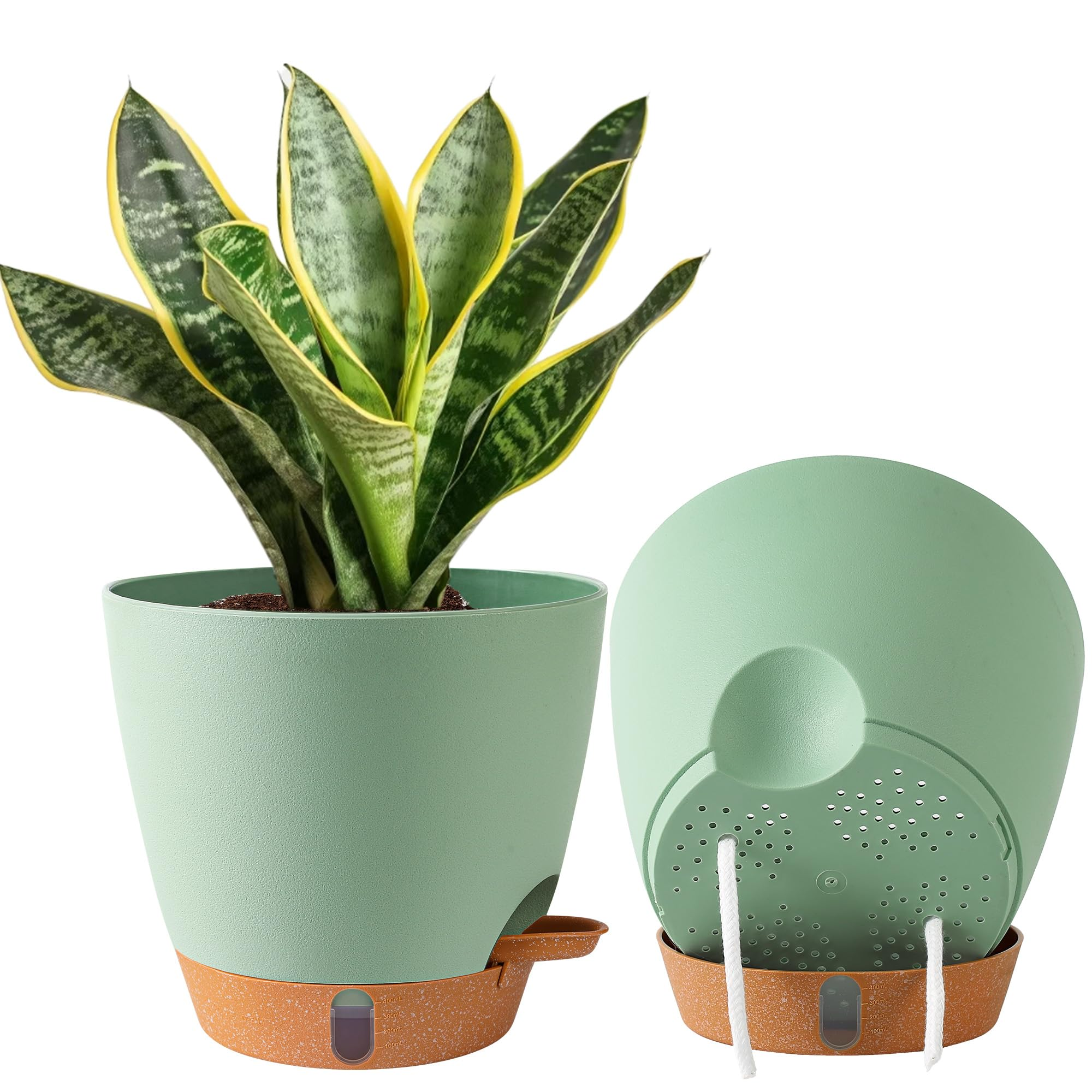 spider plant pot drainage holes