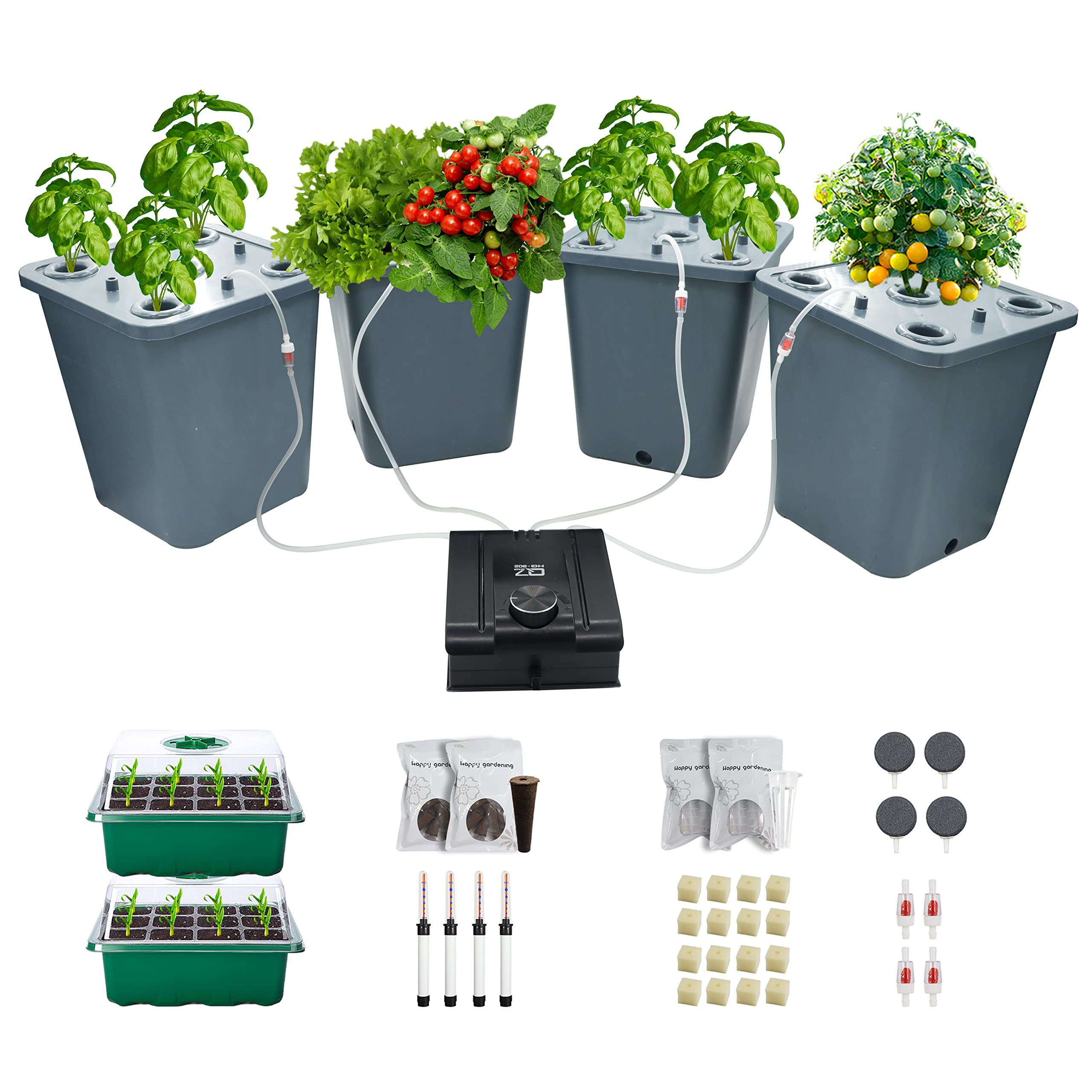 spider plant hydro setup supplies