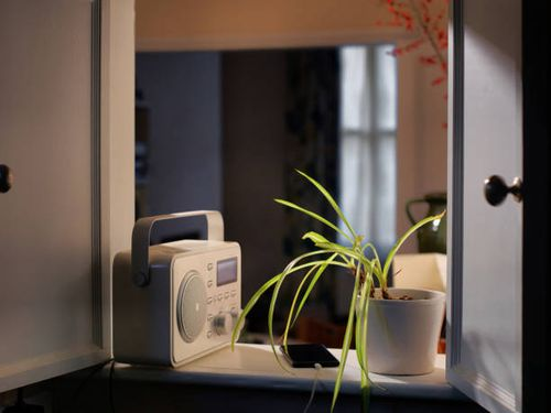 Stripe Hype: Style ‘Vittatum’, ‘Variegatum’, ‘Bonnie’ and More in Tight Spaces