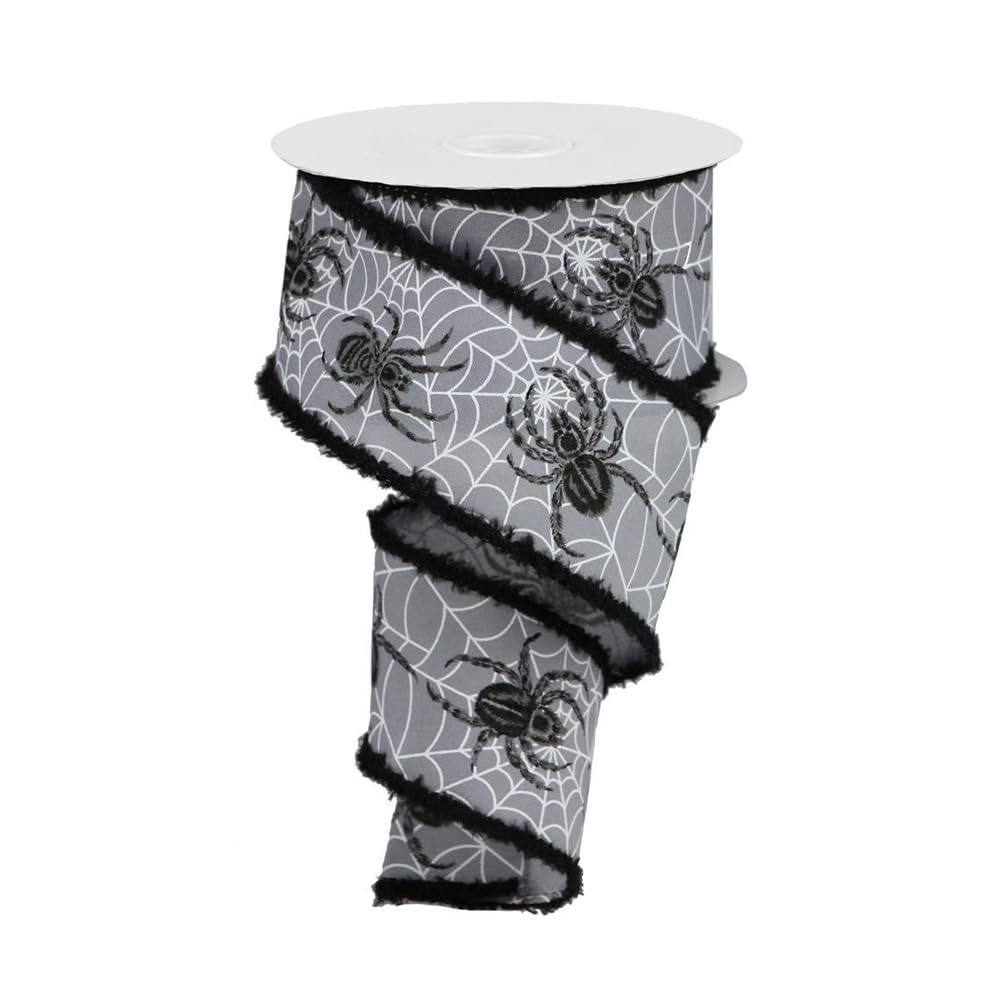 spider plant gift with ribbon