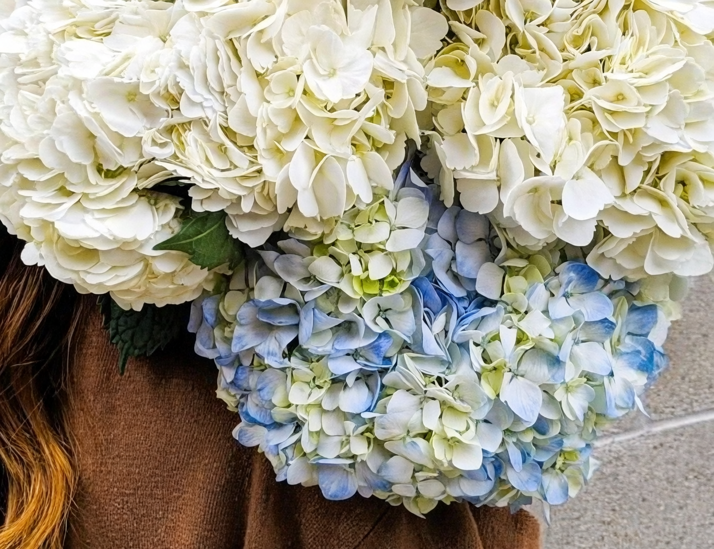 blue hydrangea apology bouquet