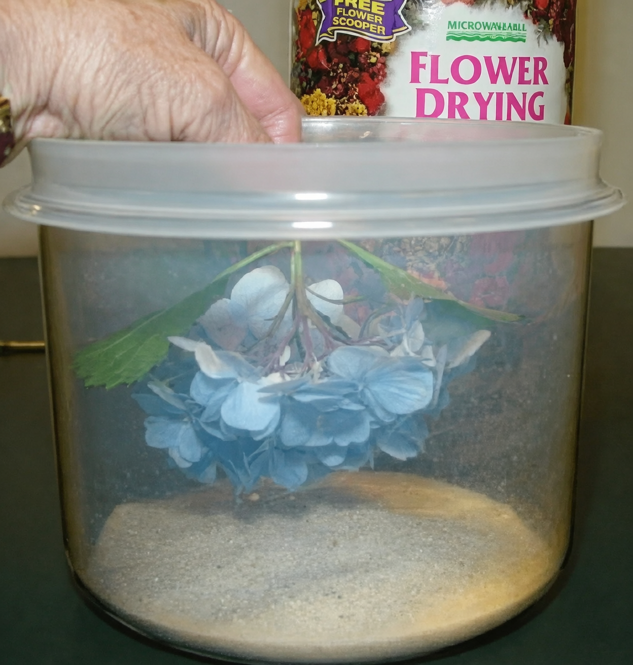 hydrangea silica gel drying box