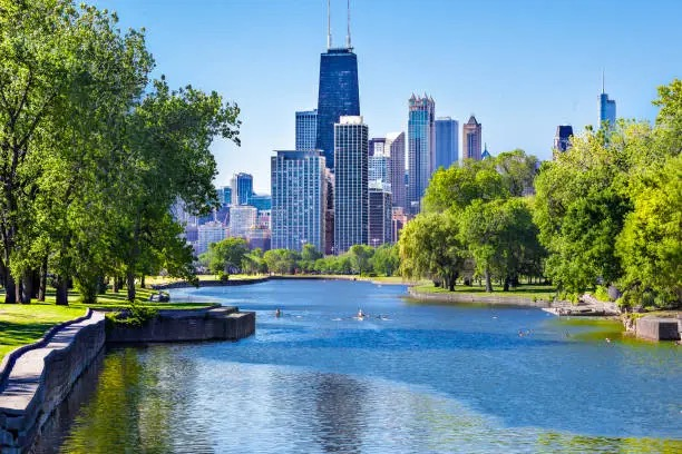 Snow vs. Sweetness: Cold‑Climate Figging with ‘Chicago Hardy’ and Friends