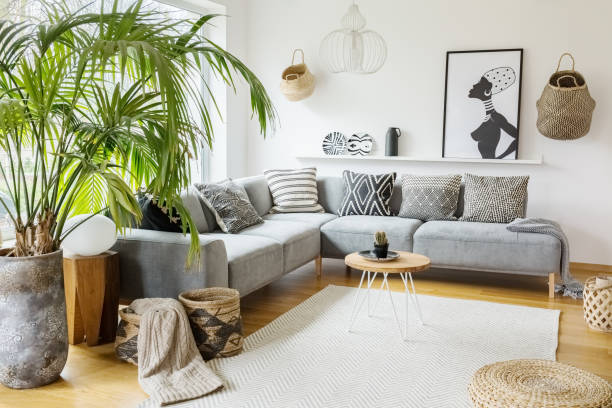 Standing Tall: Alocasia’s Modern Flower Language and Feng Shui Explained