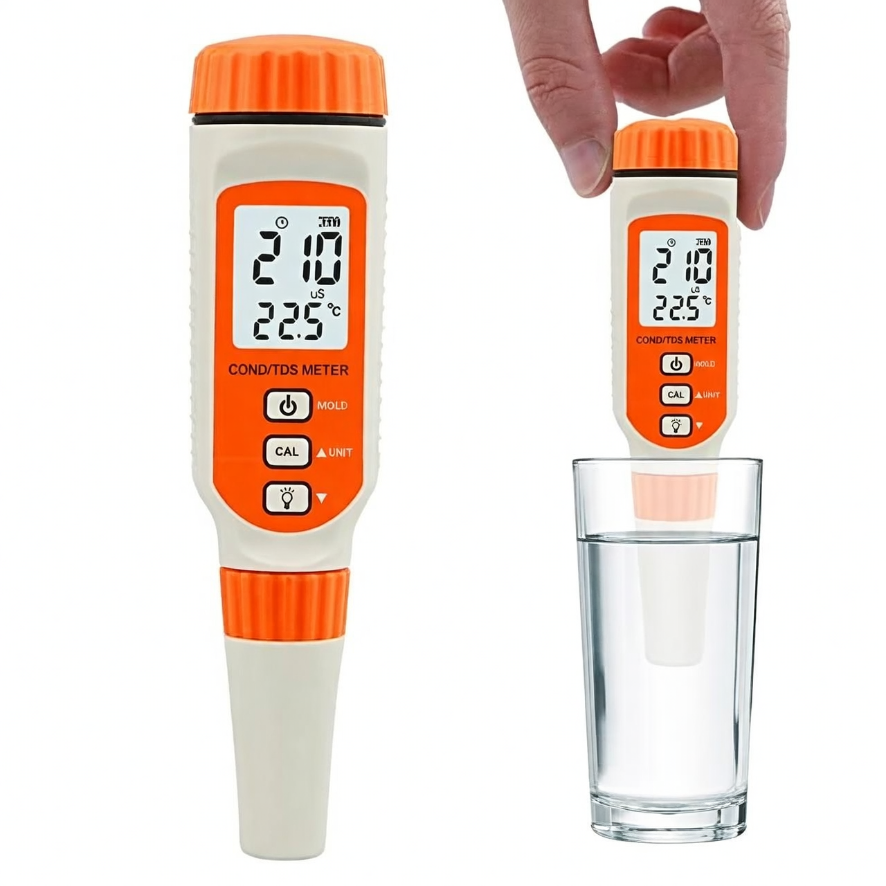 alocasia TDS meter watering