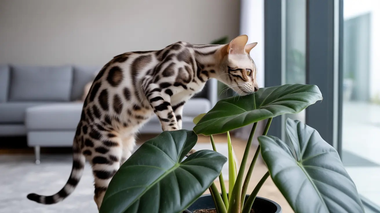 cat pawing mouth alocasia plant