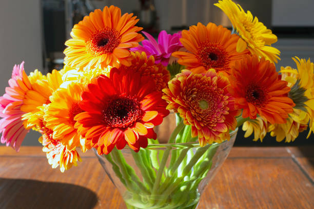 Make Your Gerbera Bouquet Last 10+ Days: Florist‑Level Tricks for Upright, Vivid Stems