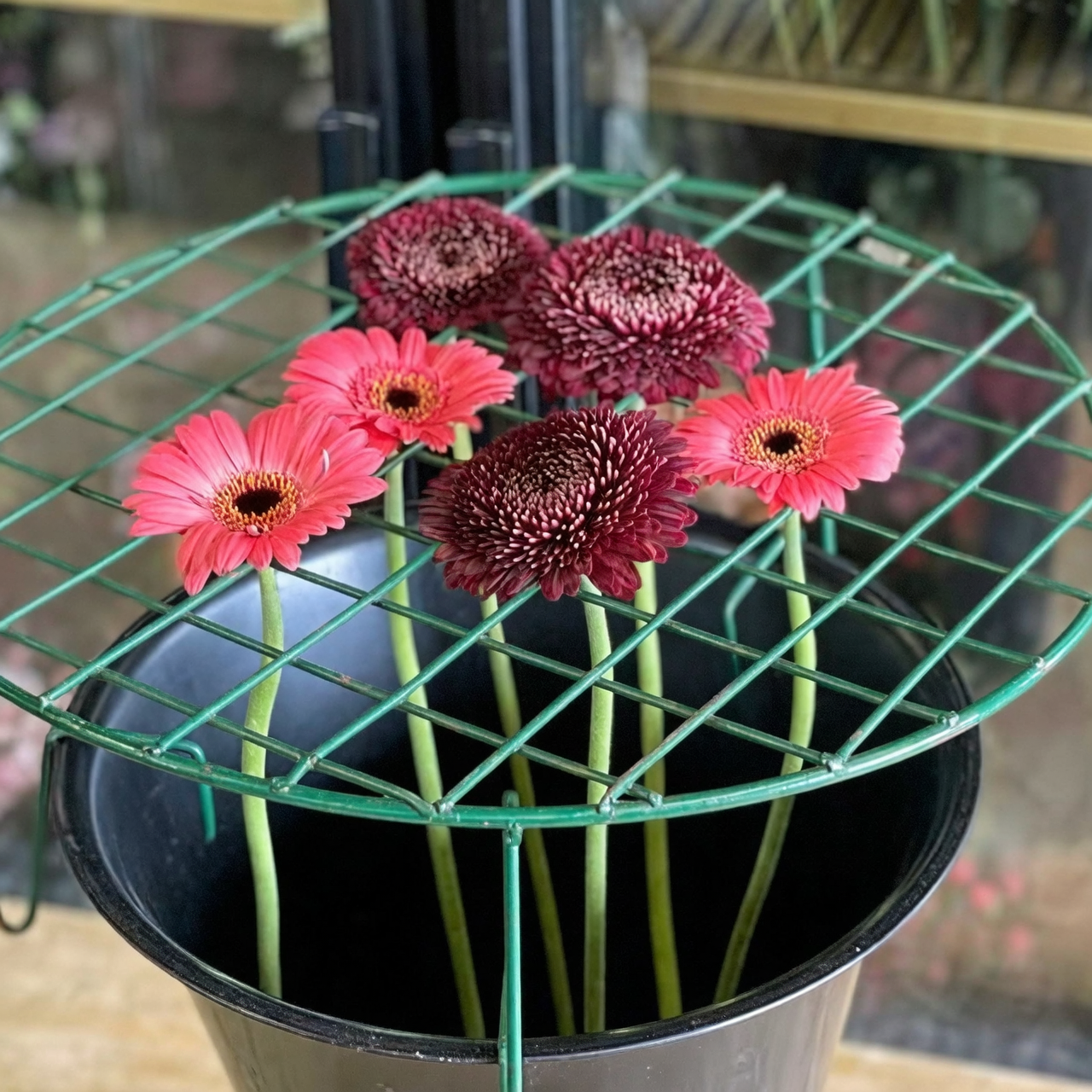 gerbera daisy vase tape grid