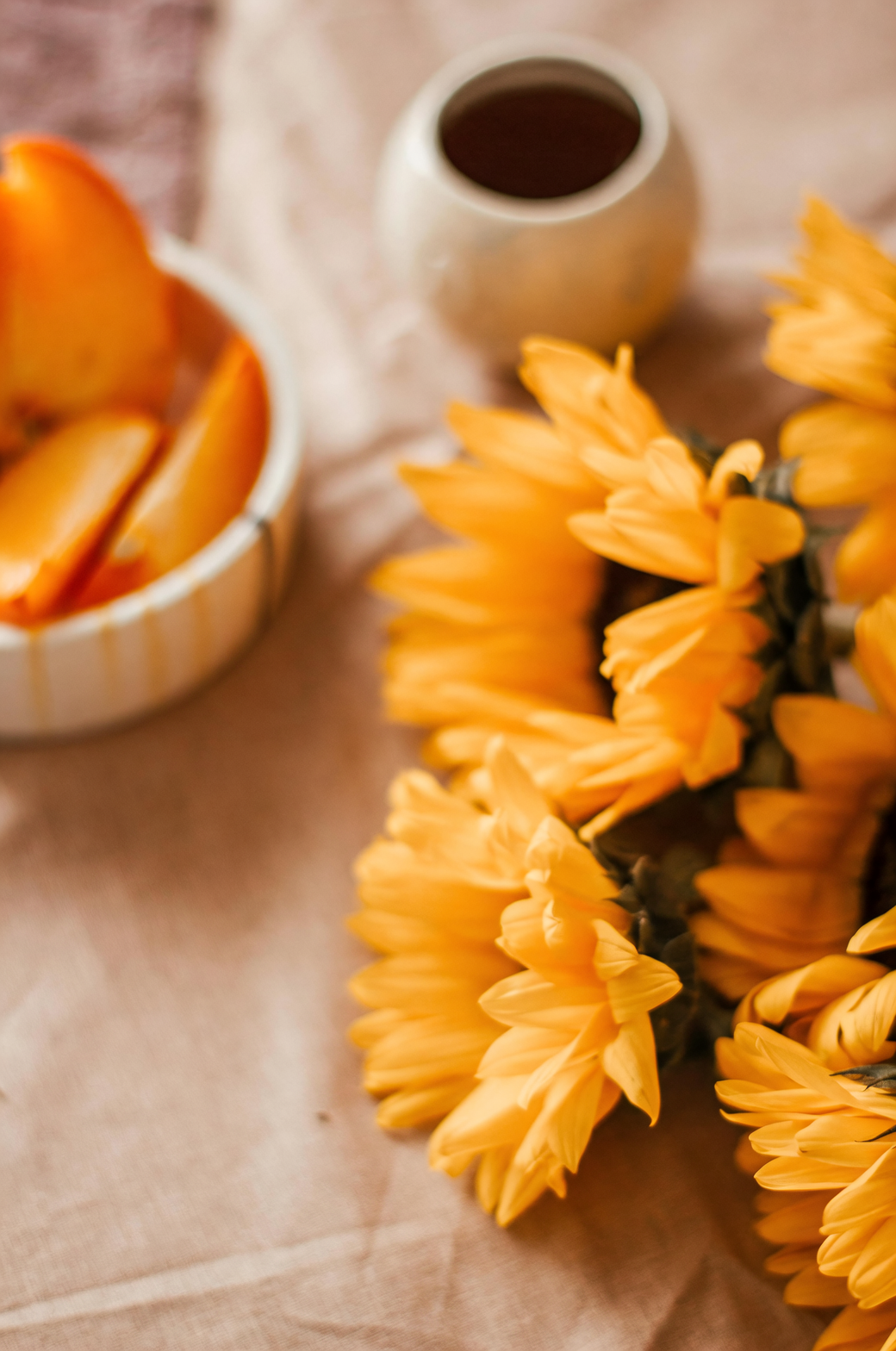 gerbera cut flower bent neck