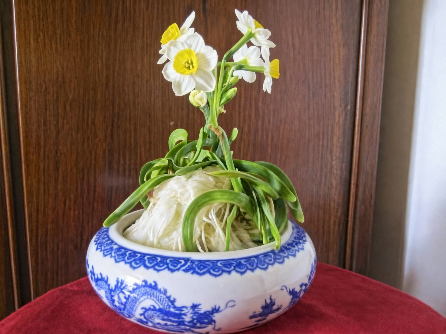 Chinese narcissus bowl water draining