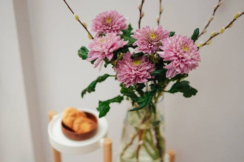 把春天请进屋：水仙的摆放与香气礼仪（兼顾风水与实用）