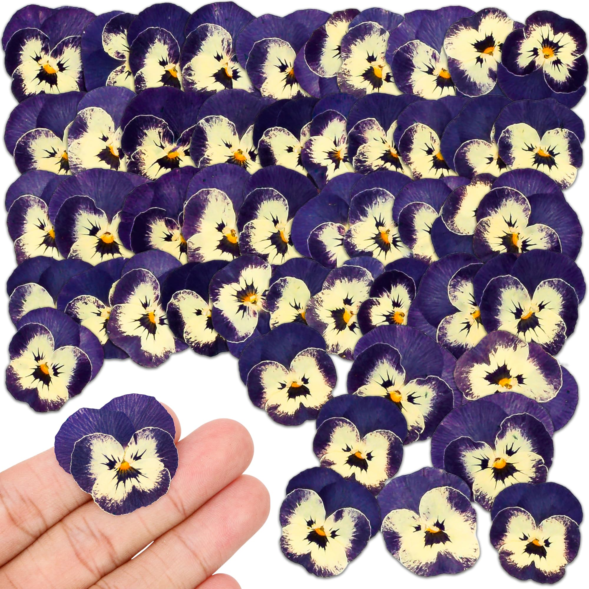 pansy gray mold petals
