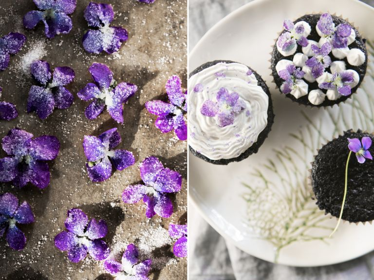 candied sweet violet on cupcake